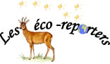 ECOREPORTER