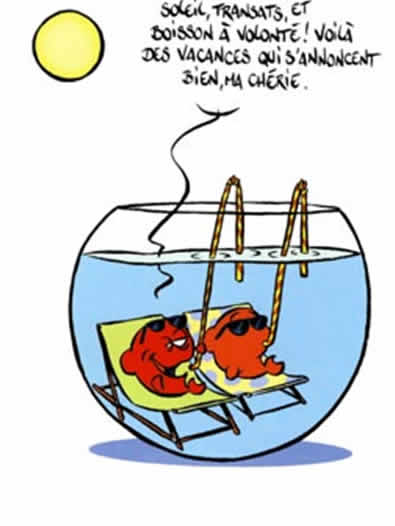 blagues sur les rencontres sur internet